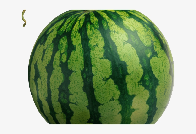 Fantano Melon, transparent png download