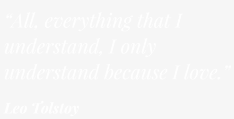 1, transparent png download