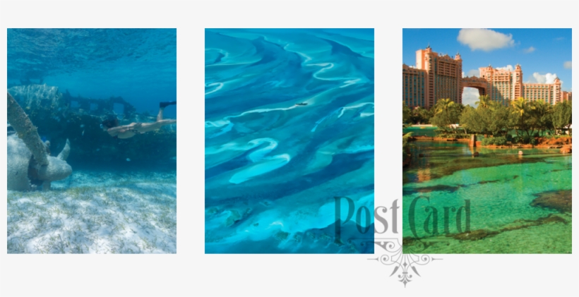 Ladyj Cruise Destination Nassau Collage - Atlantis Paradise Island, transparent png download