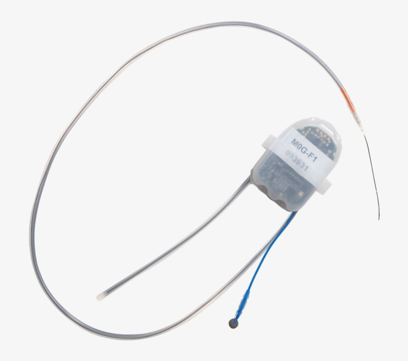 The Link Between Metabolism And The Cardiovascular - Headphones, transparent png download