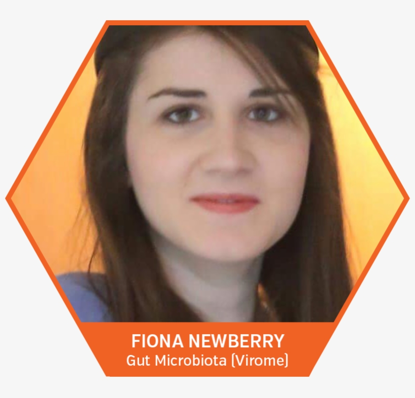 “investigating Alterations In The Intestinal Virome - Photo Caption, transparent png download