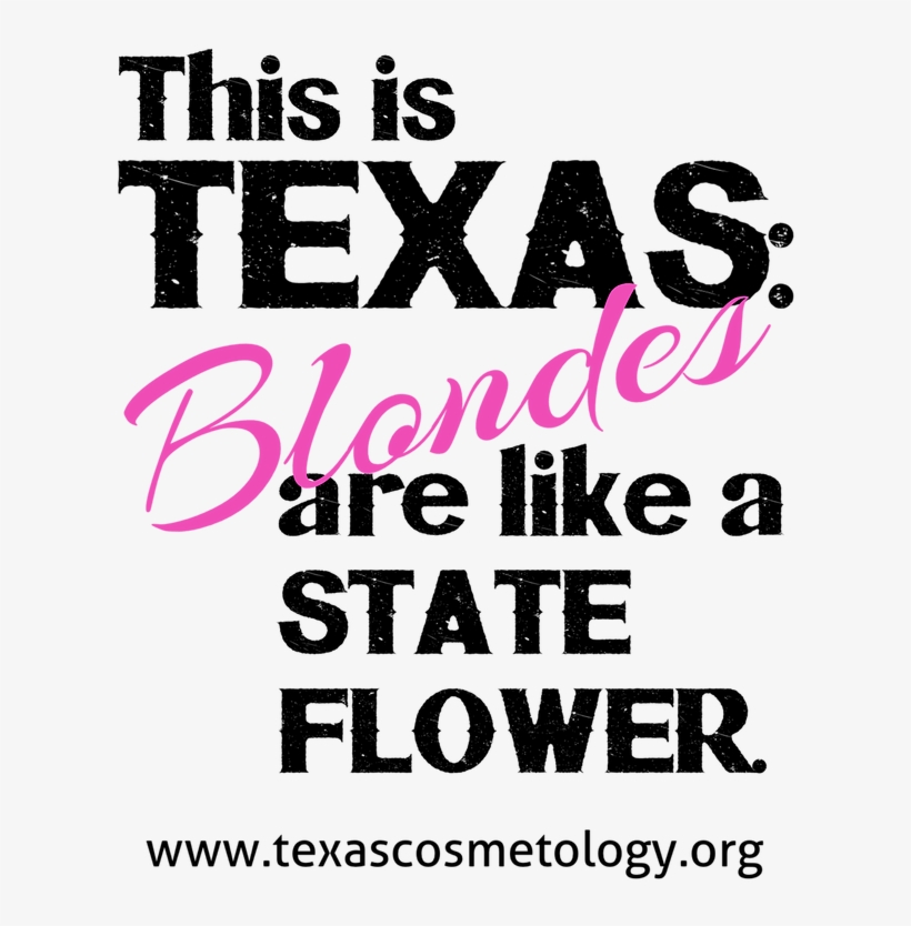 You May Be Wondering If A Future Cosmetologist Needs - Baylor Bears And Lady Bears, transparent png download