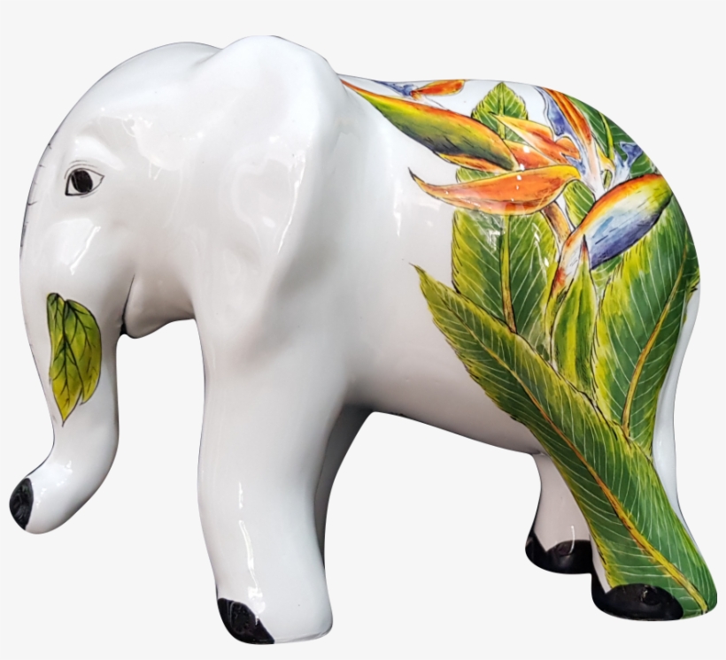 Bird Of Paradise, transparent png download