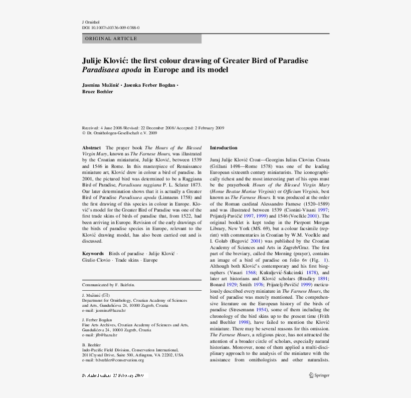 The First Colour Drawing Of Greater Bird Of Paradise - Mental Health Attitude Questionnaire, transparent png download