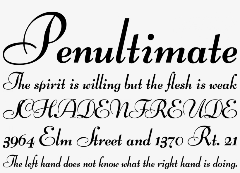 Lucien Schoenschriftv Cat Font Phrases - Calligraphy, transparent png download