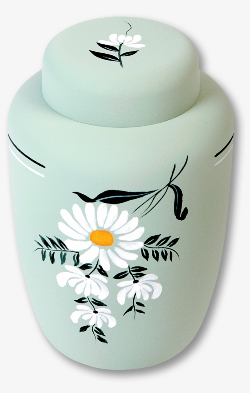 Daisy, transparent png download