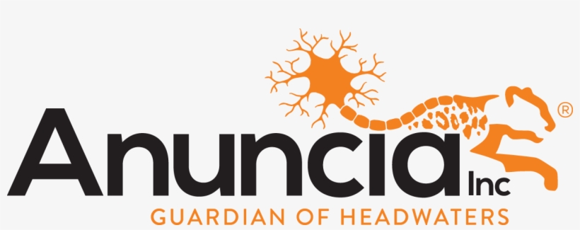 Alcyone Lifesciences Completes Spin-off Of Hydrocephalus, transparent png download