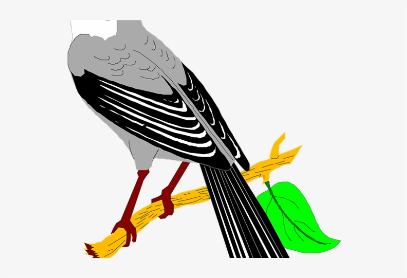 Mockingbird Clipart Quail - Mocking Birds Clip Art, transparent png download