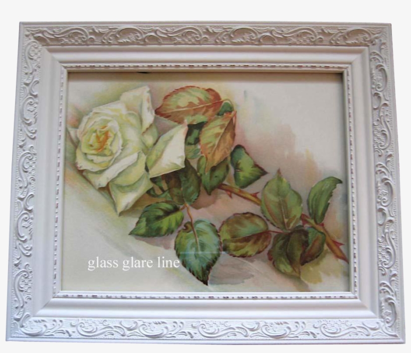 Antique White Roses Print Buy Now At - Picture Frame, transparent png download