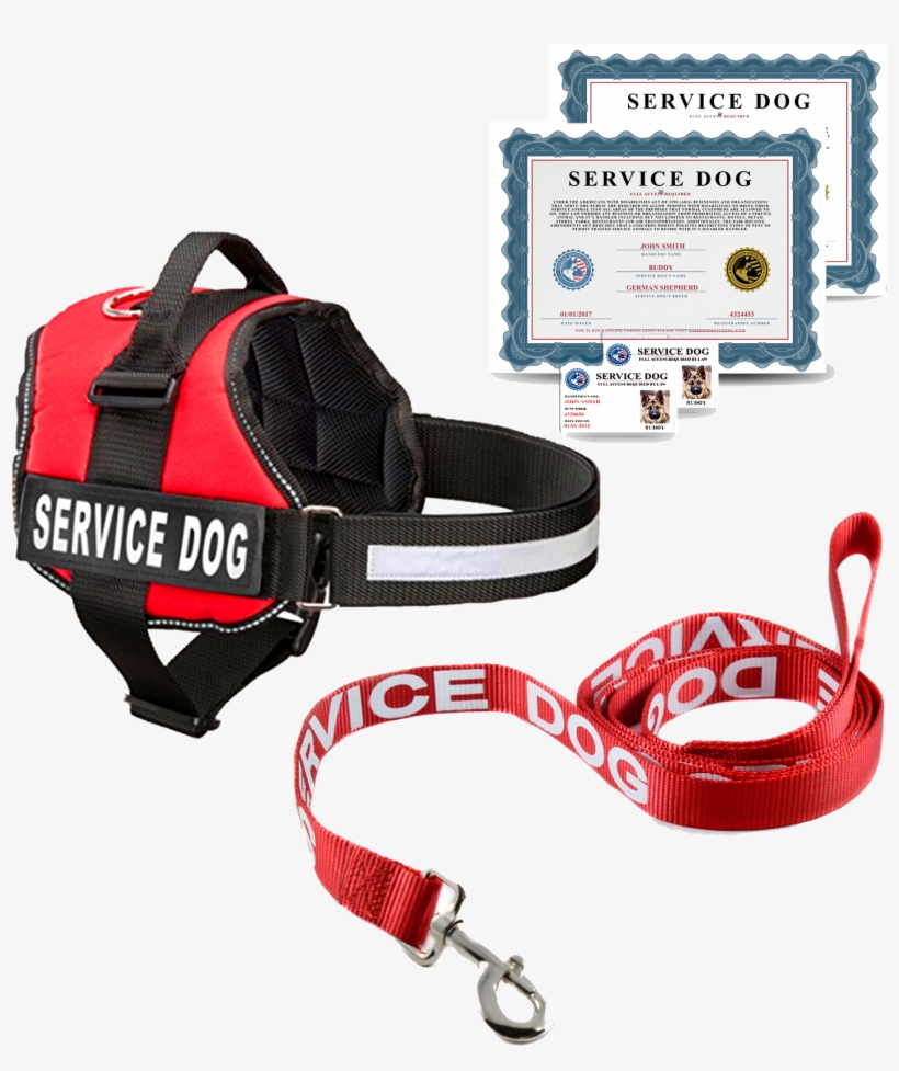 Price - Service Dog Harness, transparent png download