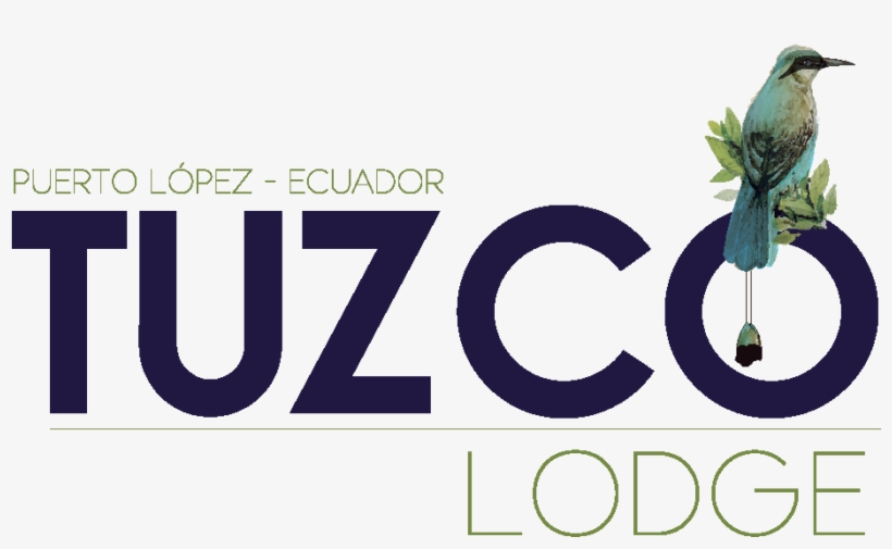 Tuzcolodge Tuzcolodge Tuzcolodge, transparent png download