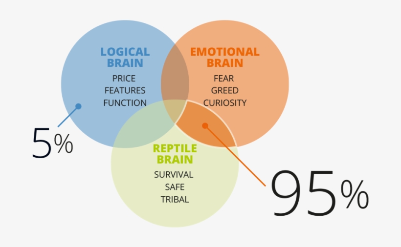 How We Work - Diagram, transparent png download