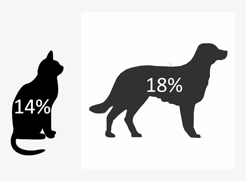 Allergy-stats - Black Cat Silhouette White Background, transparent png download