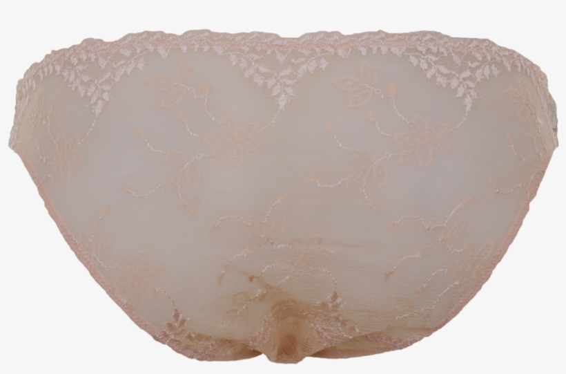 Atlanta Slip Aus Spitze In Puder - Baltic Clam, transparent png download