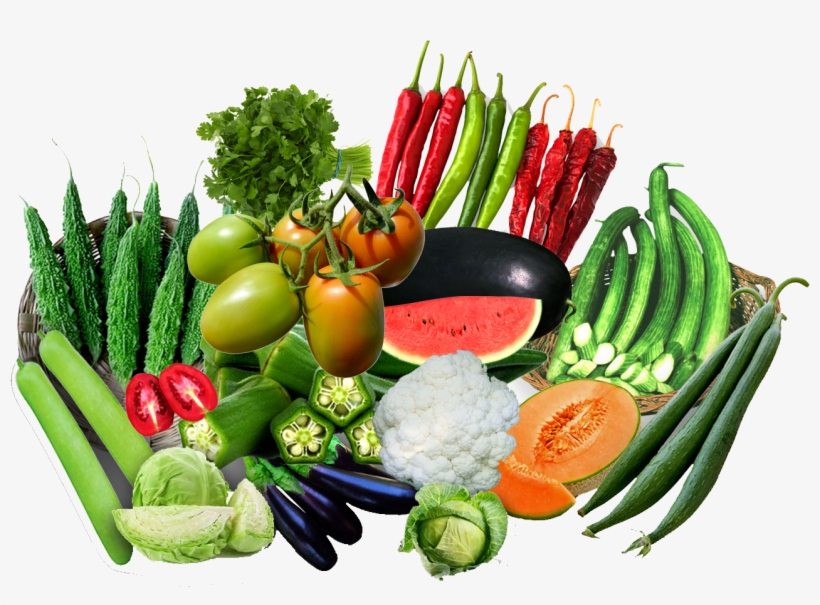 Cucumber, transparent png download