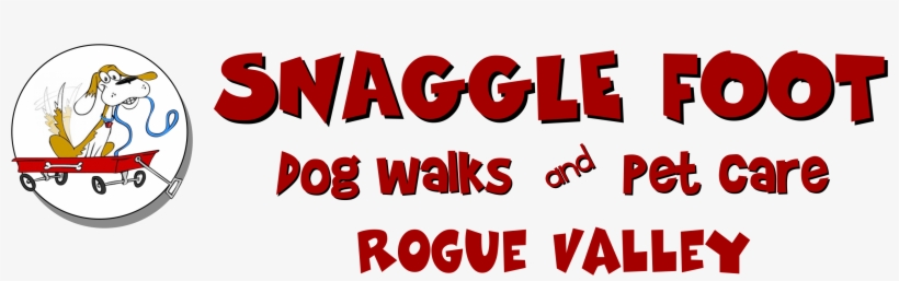 Pet Sitting & Dog Walking - Dog Walking, transparent png download