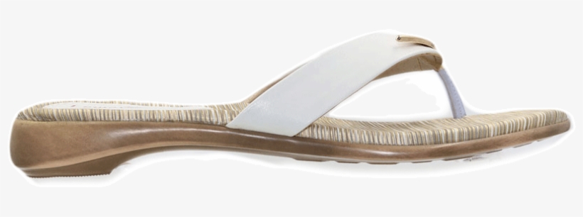 Lemex Dh2774 Ladies Flats Slippers - Flip-flops, transparent png download