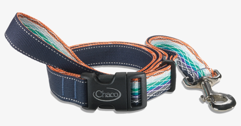 Belt, transparent png download
