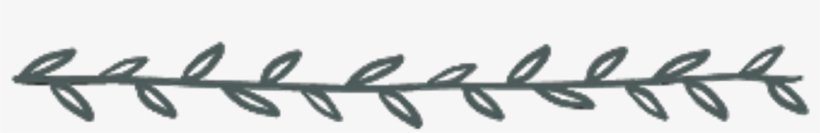 #leaves #linie #linien #schmucklinien #divider #trennlinie, transparent png download