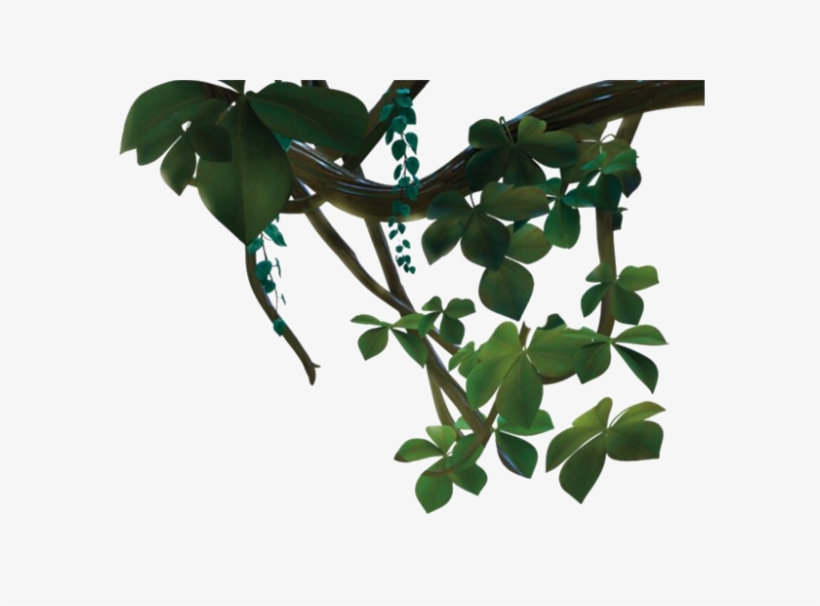 Jungle Vines Transparent - Houseplant, transparent png download