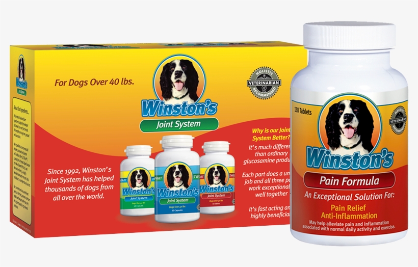 The - Arthritis, transparent png download