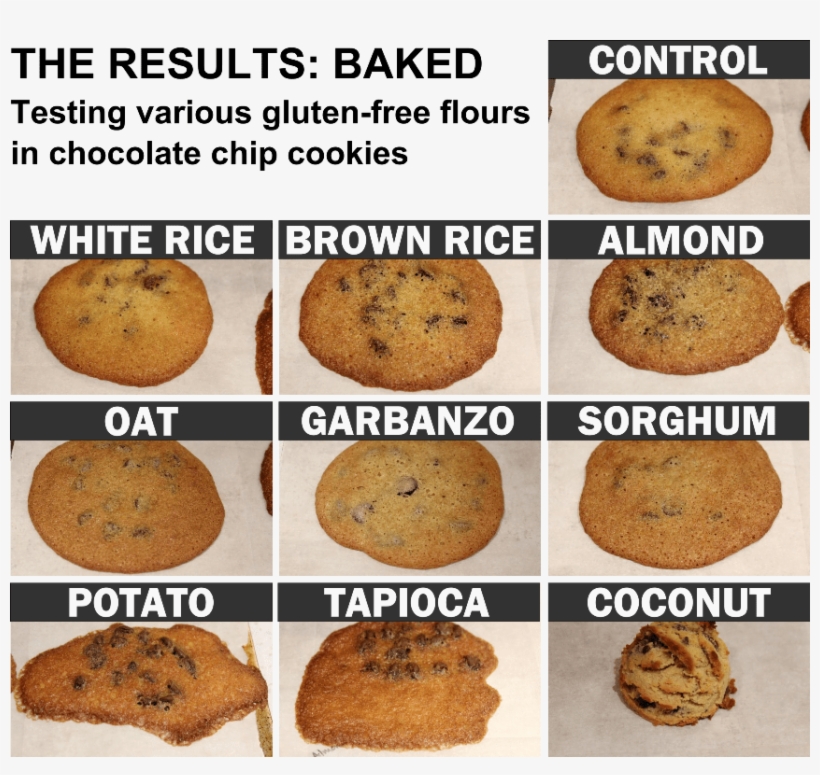 Coconut Flour Chocolate Chip Cookies Transparent Background - Baking, transparent png download