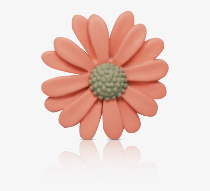 Daisy Pink - Gerbera, transparent png download