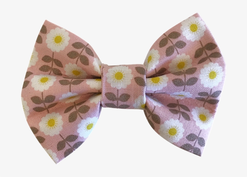 Pink Daisy Bow V=1551025592 - Paisley, transparent png download