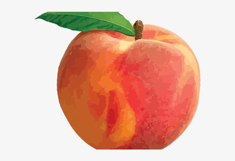 Peach Png Transparent Images - Palisade Peach, transparent png download
