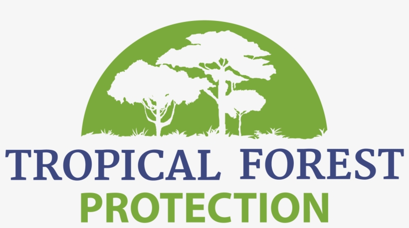 Tropical Forest Protection - Tropical Forest Logo, transparent png download