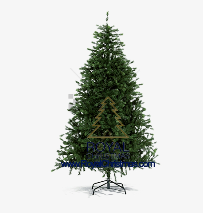 Free Png Pine Tree For Christmas Png Image With Transparent - Real Christmas Tree Plain, transparent png download