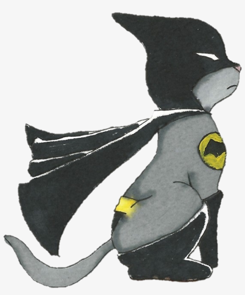 #batcat #batman #superhero #supercat #cat #cape #kitten - Ivory-billed Woodpecker, transparent png download