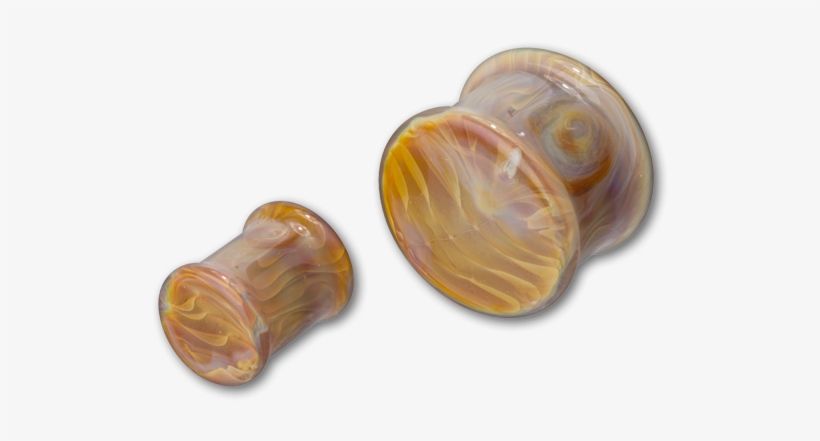 Shell, transparent png download