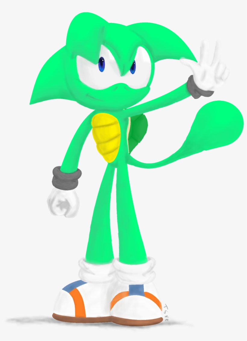 Dash - Sonic Turtle, transparent png download