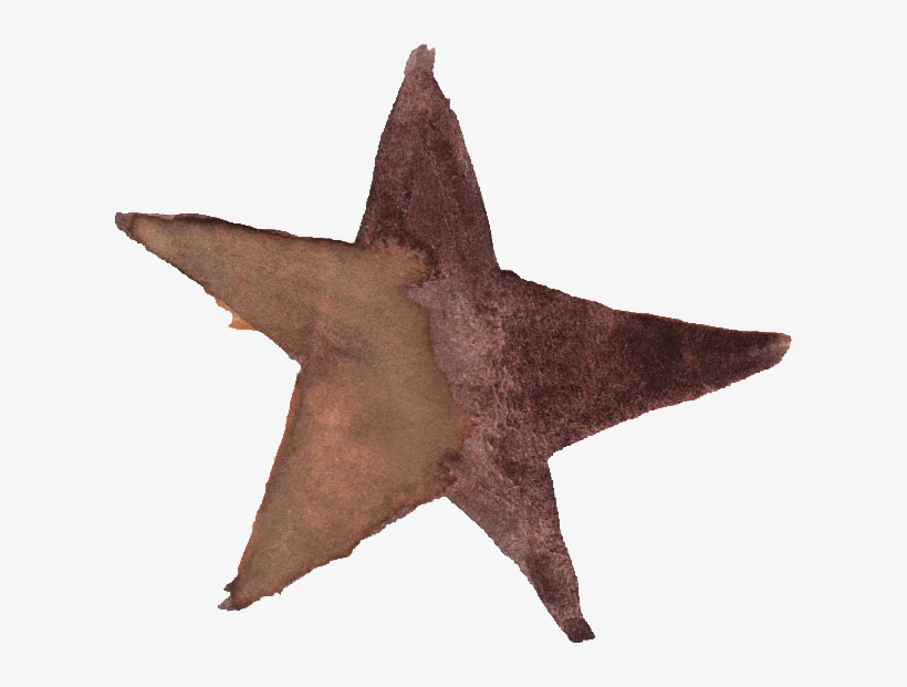 Free Download - Starfish, transparent png download