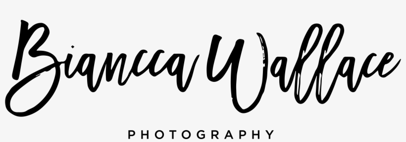 Welcome - Honey And Birch Logo, transparent png download