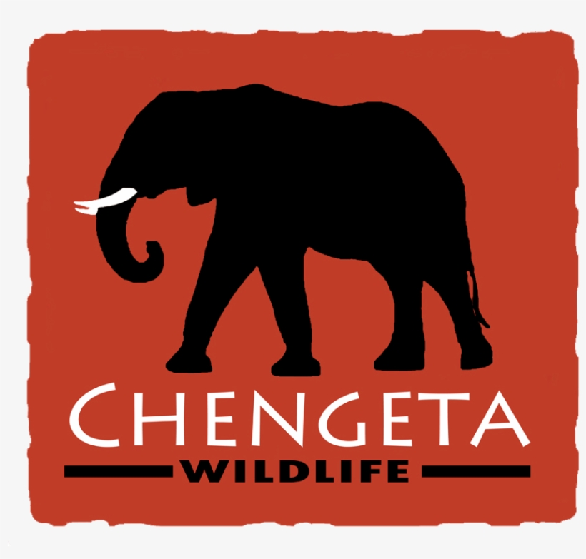 Chengeta Wildlife Logo - Indian Elephant, transparent png download