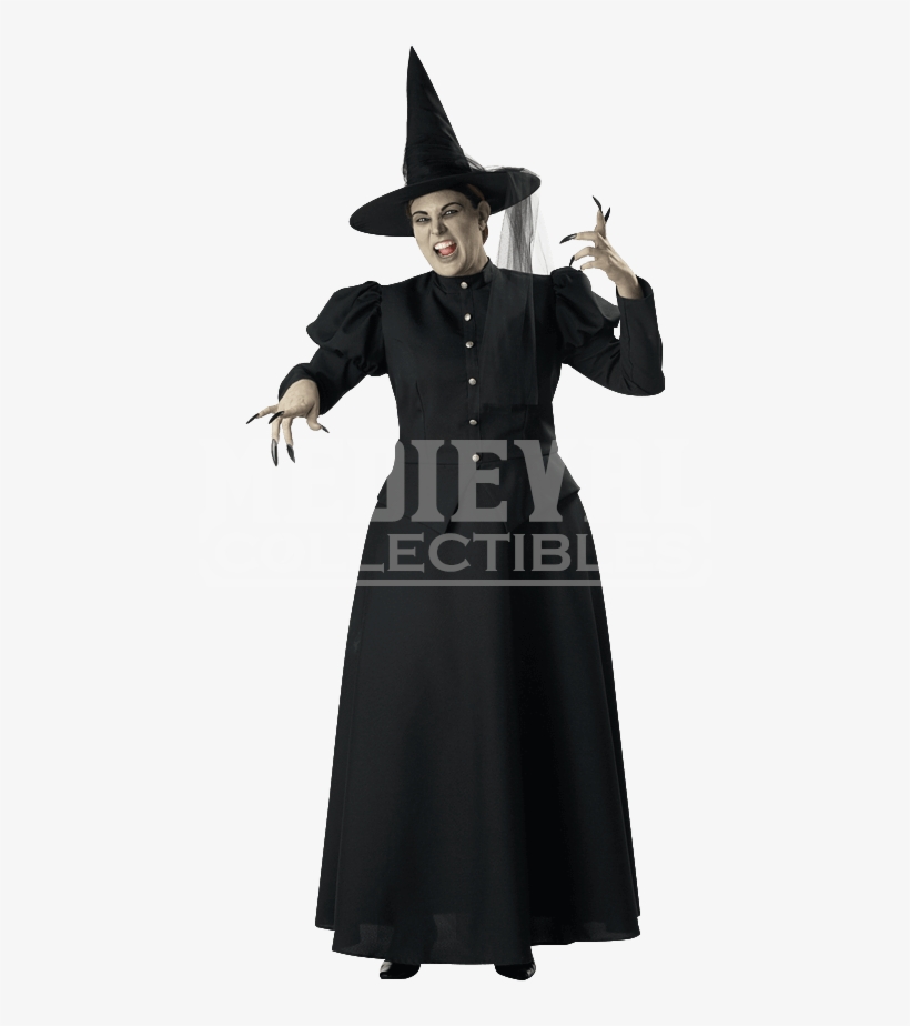 Womens Wicked Witch Costume - Witch Costume For Men, transparent png download