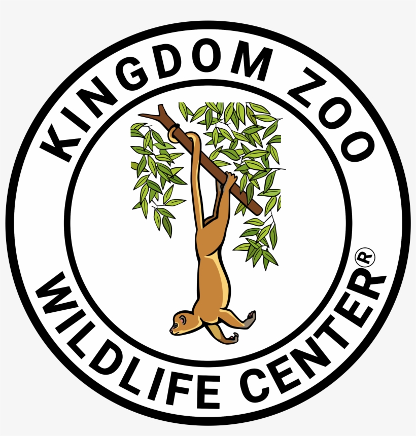 An Error Occurred - Kingdom Zoo, transparent png download