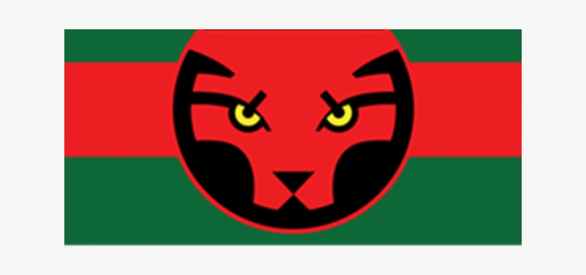 Wakanda Clipart Panther Wakanda - Black Panther Wakanda Flag, transparent png download