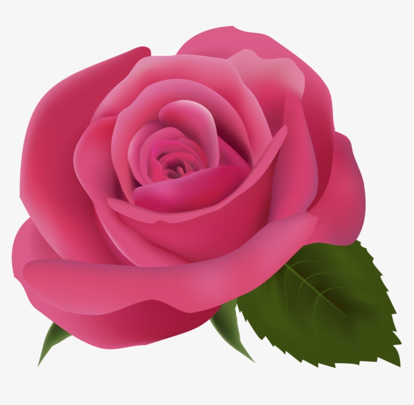Download Pink Rose Clip Art, transparent png download