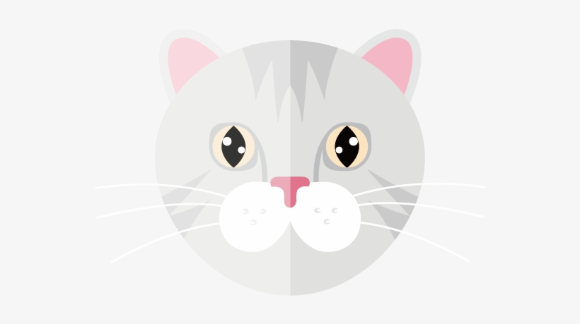 Cat, transparent png download