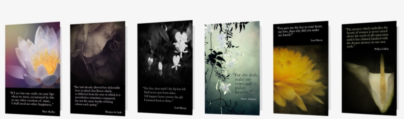 Find More Curiosities By Clicking Here - Flyer, transparent png download