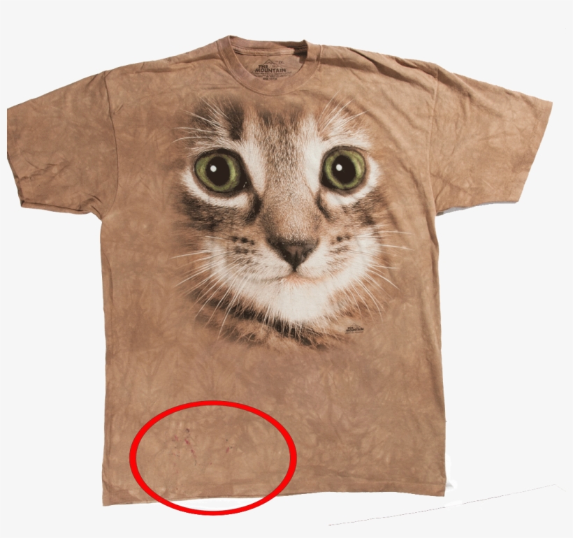 Футболка С Дефектом Kitten Face - Ojos De Gato Cafe, transparent png download