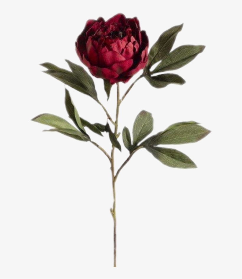 #tumblr #spring #vintage #flower #flowers #flowerart - Vintage Flower Art Transparent, transparent png download