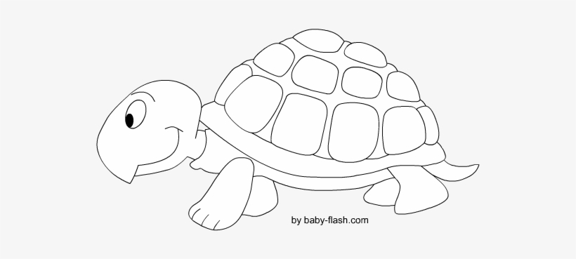 Cute Baby Zebra Zebra Cartoon Pictures Clip Art Zebra - Tartaruga In Bianco E Nero, transparent png download