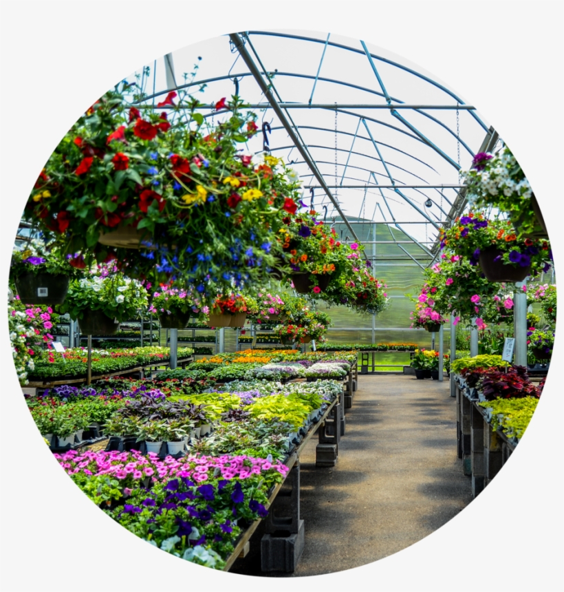 Circle Cropdsc 5729 - Greenhouse, transparent png download