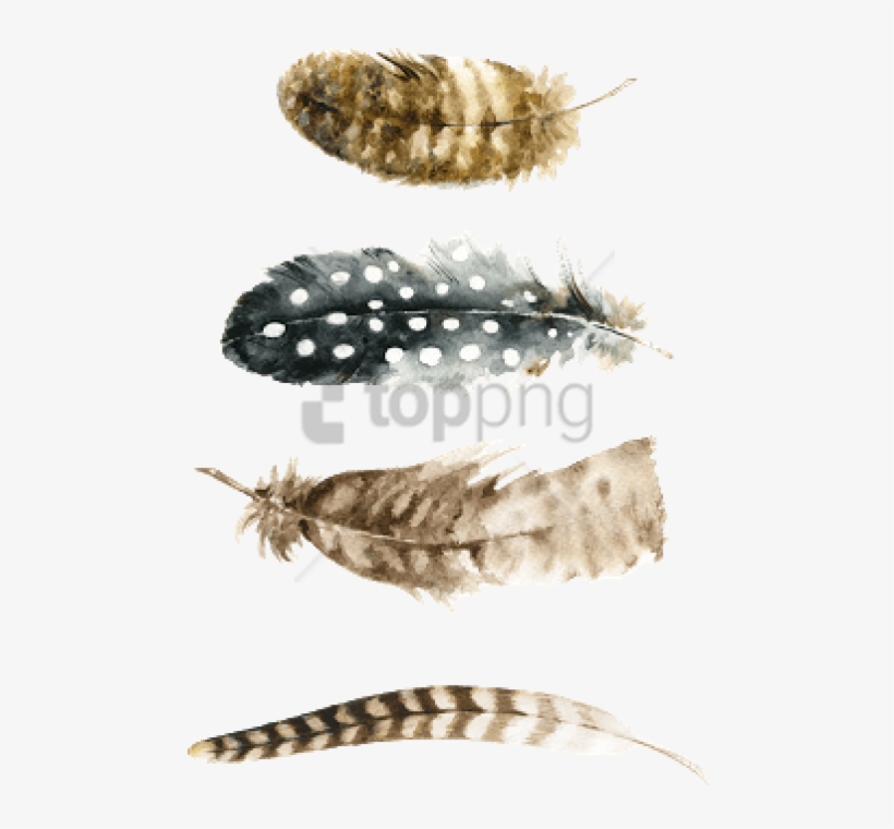 Free Png Watercolor Feather Free Png Image With Transparent - Feather Free Printable, transparent png download
