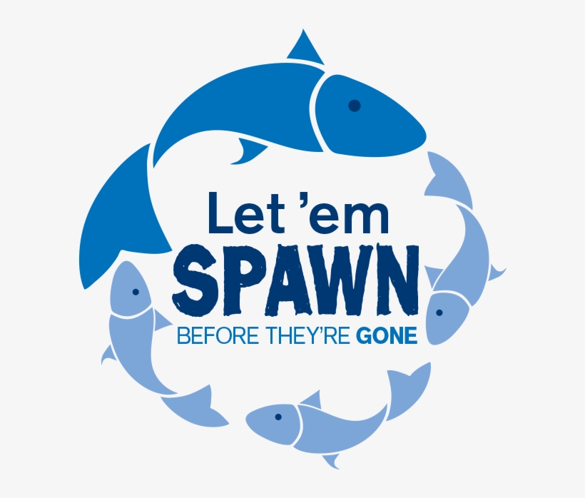 Let 'em Spawn, transparent png download