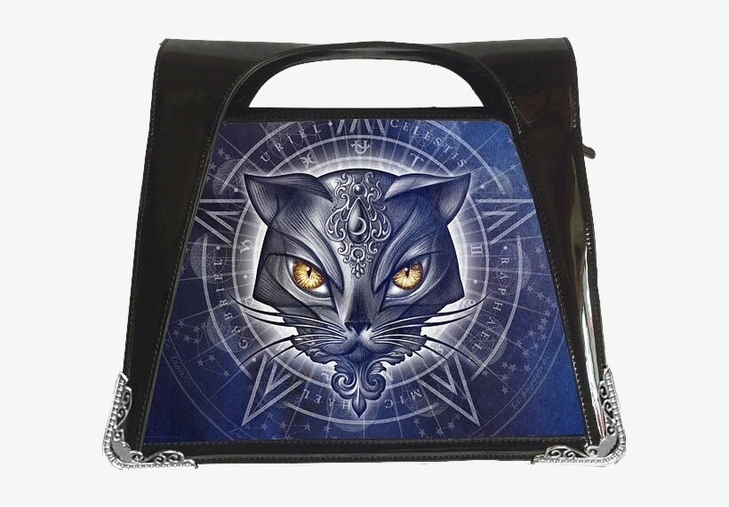 Tabby Cat, transparent png download